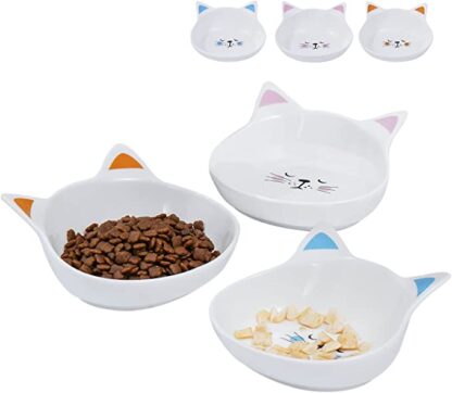 Platos para gatos con diseños