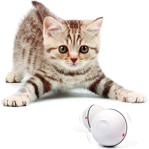 juguetes electronicos para gatos