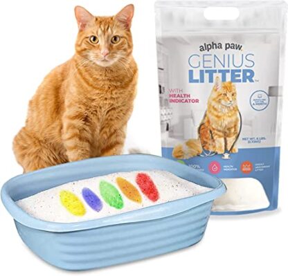 Arena para gatos genius litter